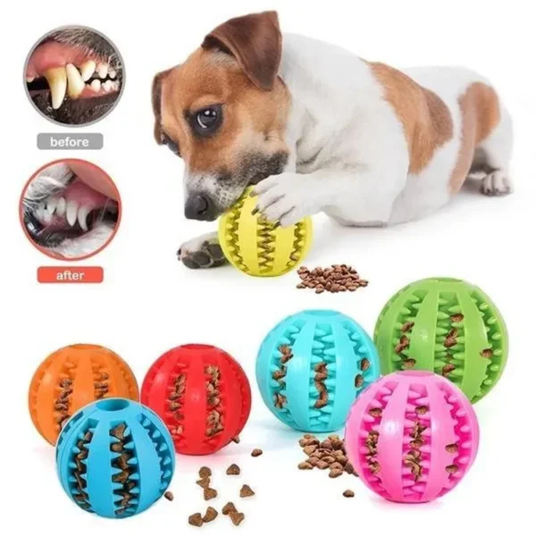 Hond Rubber Bal