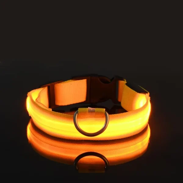 Nylon Verlichtingshalsband
