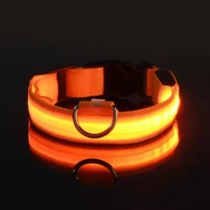 Licht veiligheid hondenhalsband Nylon LED nacht veiligheid knipperen Glow in the Dark huisdier hondenriem huisdier honden lichtgevende fluorescerende hond accessoires halsband