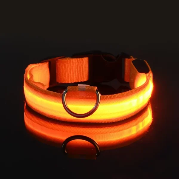 Lichte veiligheidshalsband voor honden
